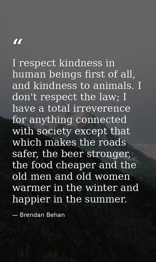 I respect kindness in human beings first of all, and kindness to animals. I don't respect the law; I have a total irreve — Brendan Behan