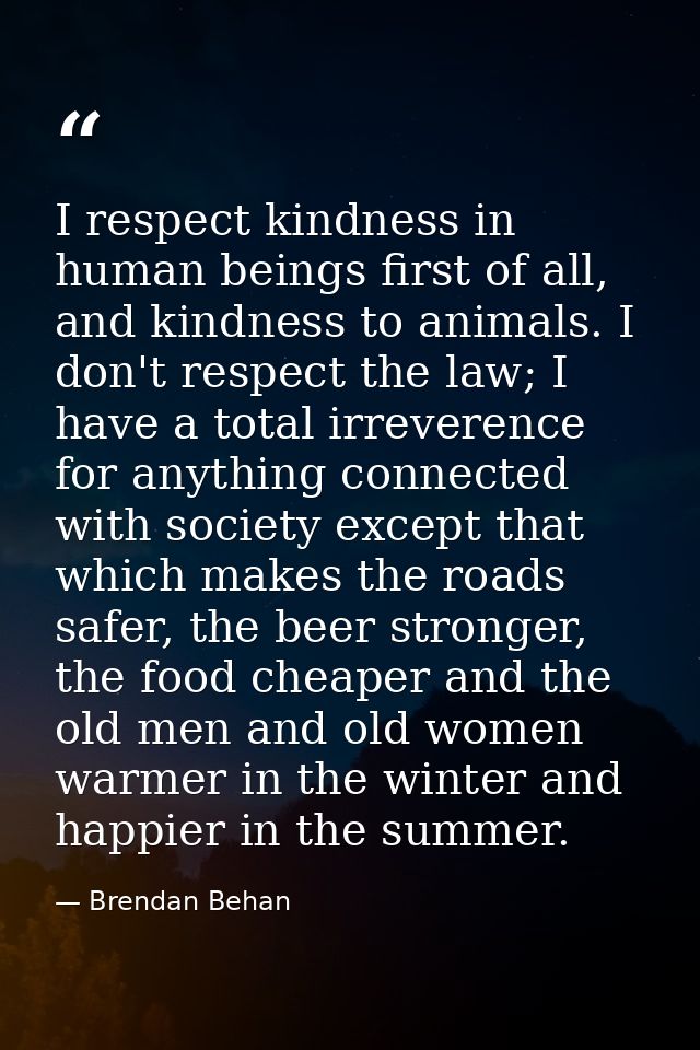 I respect kindness in human beings first of all, and kindness to animals. I don't respect the law; I have a total irreve — Brendan Behan