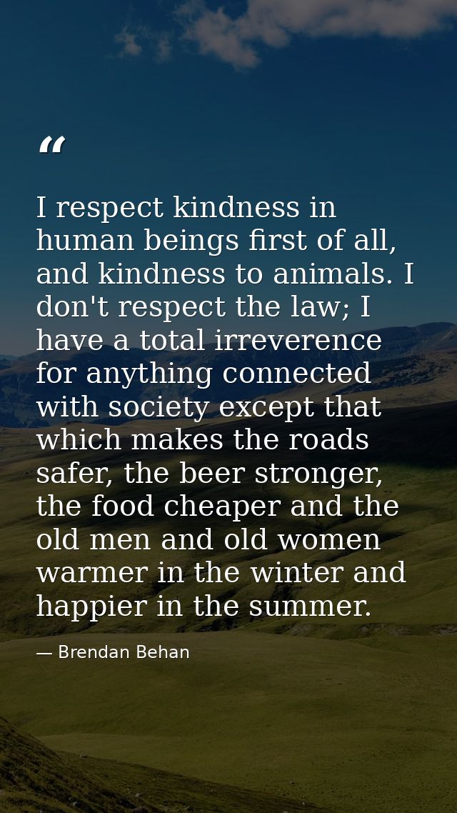 I respect kindness in human beings first of all, and kindness to animals. I don't respect the law; I have a total irreve — Brendan Behan