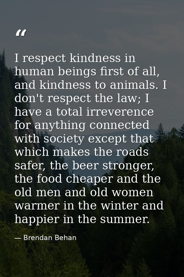 I respect kindness in human beings first of all, and kindness to animals. I don't respect the law; I have a total irreve — Brendan Behan