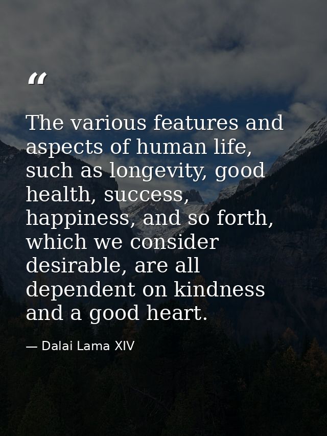 The various features and aspects of human life, such as longevity, good health, success, happiness, and so forth, which  — Dalai Lama XIV