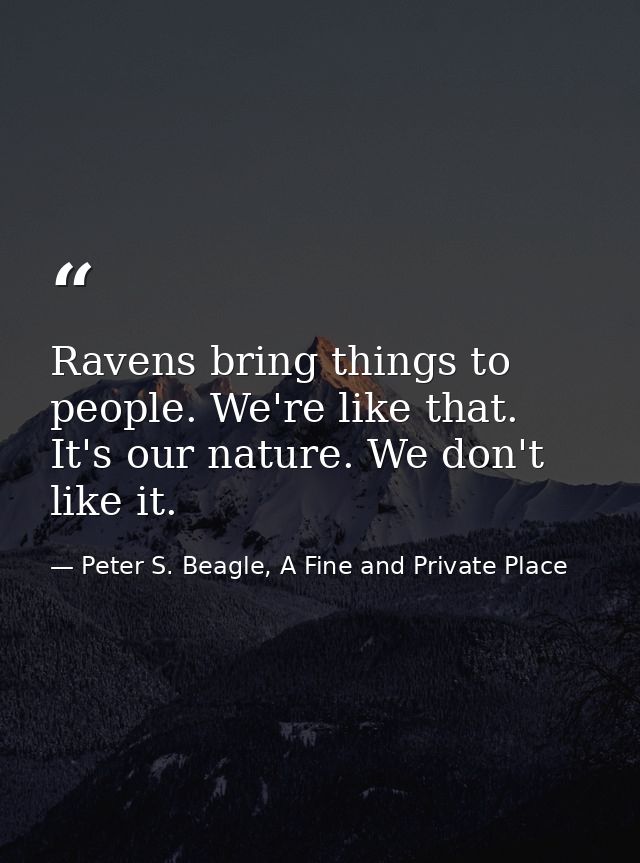 Ravens bring things to people. We're like that. It's our nature. We don't like it. — Peter S. Beagle, A Fine and Private Place