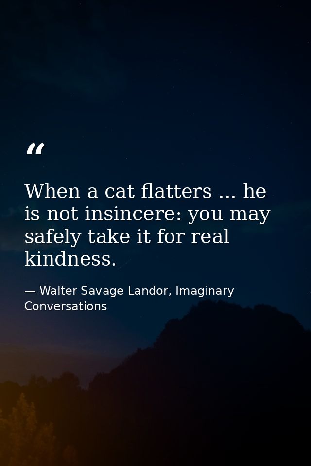 When a cat flatters ... he is not insincere: you may safely take it for real kindness. — Walter Savage Landor, Imaginary Conversations