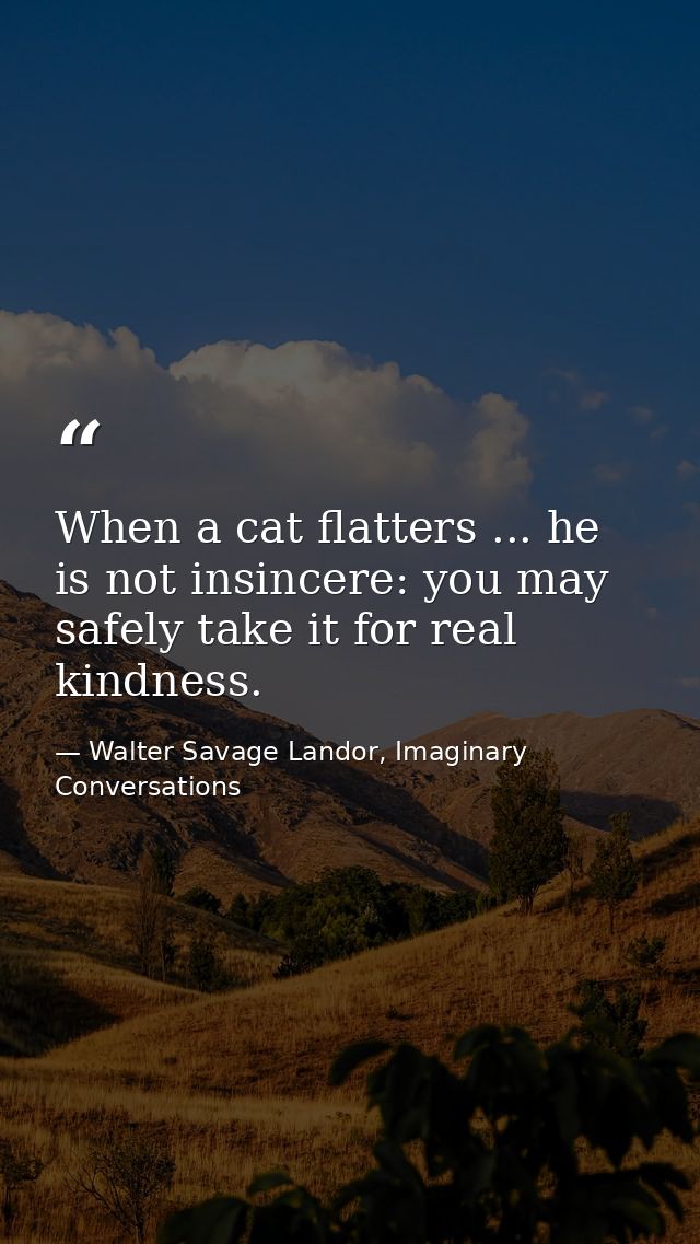 When a cat flatters ... he is not insincere: you may safely take it for real kindness. — Walter Savage Landor, Imaginary Conversations