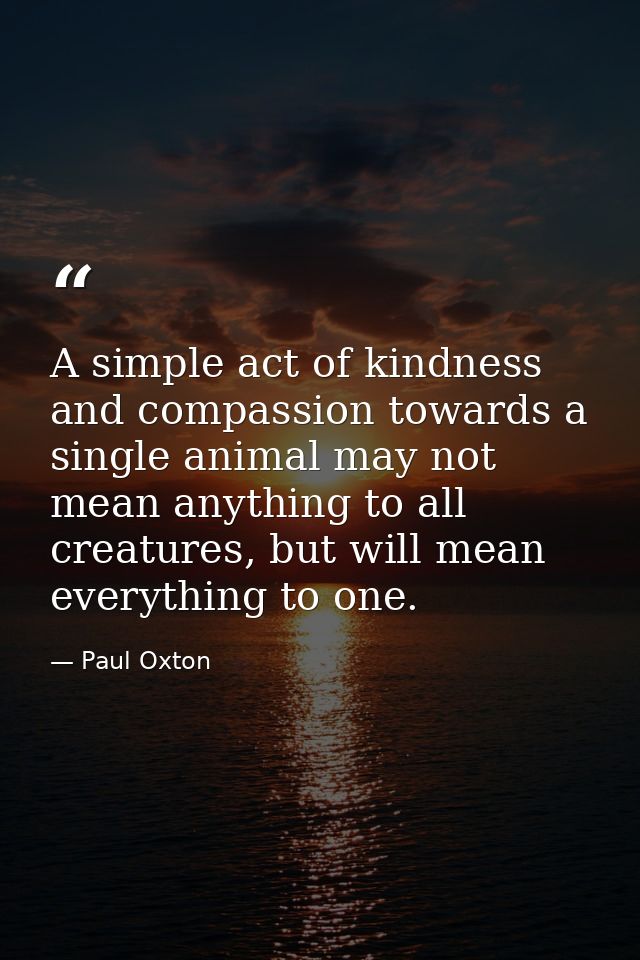 A simple act of kindness and compassion towards a single animal may not mean anything to all creatures, but will mean ev — Paul Oxton