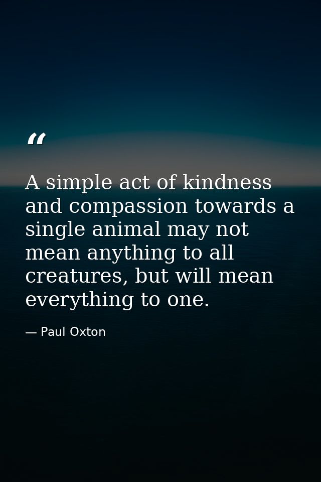 A simple act of kindness and compassion towards a single animal may not mean anything to all creatures, but will mean ev — Paul Oxton