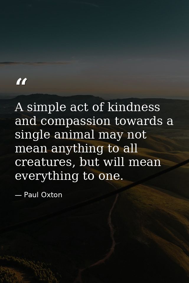 A simple act of kindness and compassion towards a single animal may not mean anything to all creatures, but will mean ev — Paul Oxton