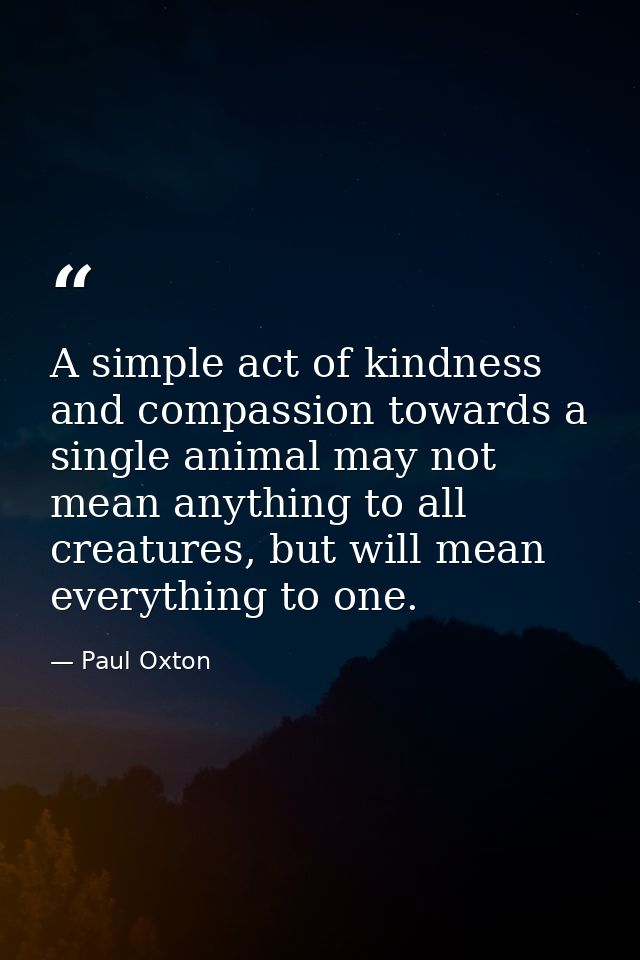 A simple act of kindness and compassion towards a single animal may not mean anything to all creatures, but will mean ev — Paul Oxton