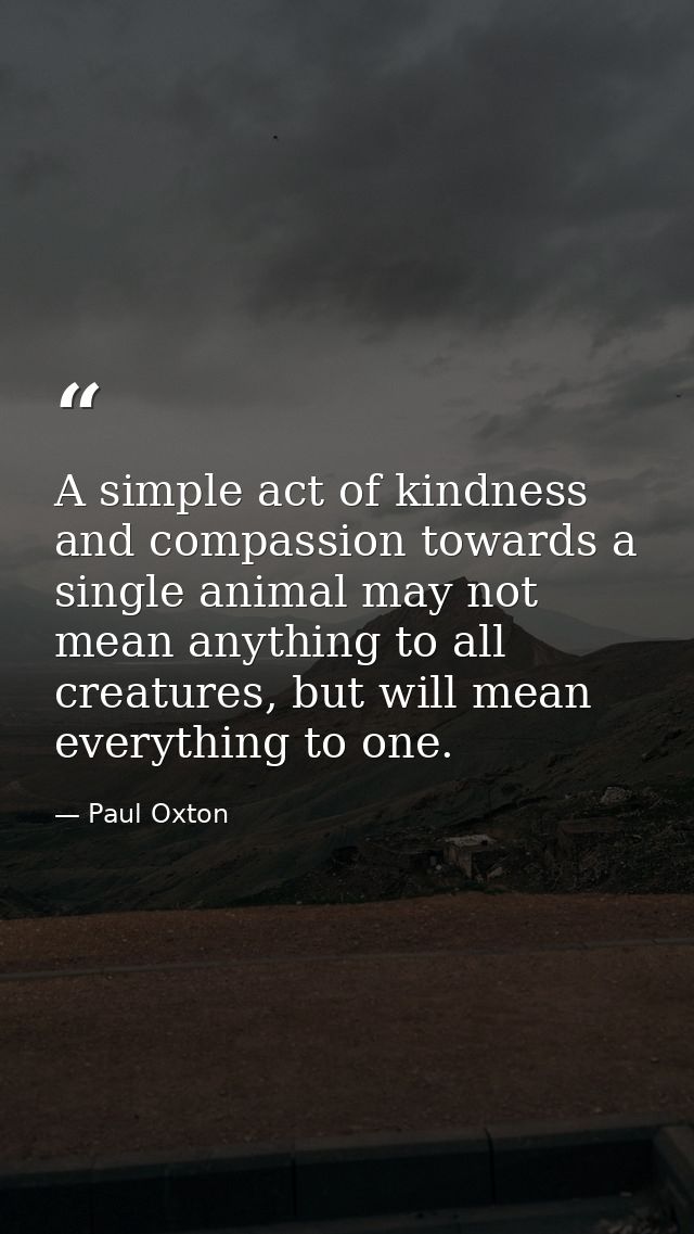 A simple act of kindness and compassion towards a single animal may not mean anything to all creatures, but will mean ev — Paul Oxton