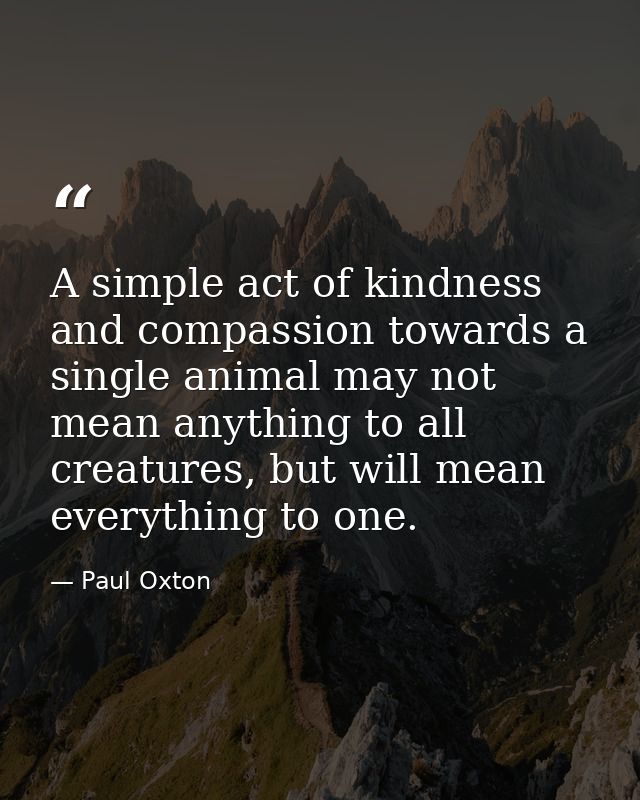 A simple act of kindness and compassion towards a single animal may not mean anything to all creatures, but will mean ev — Paul Oxton
