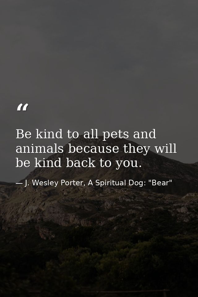Be kind to all pets and animals because they will be kind back to you. — J. Wesley Porter, A Spiritual Dog: "Bear"