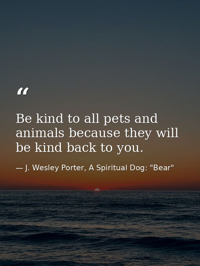 Be kind to all pets and animals because they will be kind back to you. — J. Wesley Porter, A Spiritual Dog: "Bear"