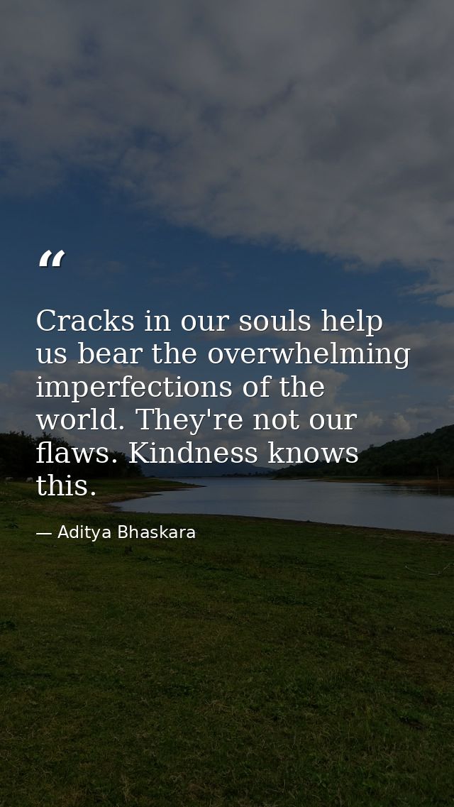 Cracks in our souls help us bear the overwhelming imperfections of the world. They're not our flaws. Kindness knows this — Aditya Bhaskara