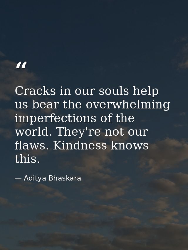 Cracks in our souls help us bear the overwhelming imperfections of the world. They're not our flaws. Kindness knows this — Aditya Bhaskara