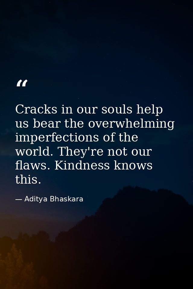 Cracks in our souls help us bear the overwhelming imperfections of the world. They're not our flaws. Kindness knows this — Aditya Bhaskara