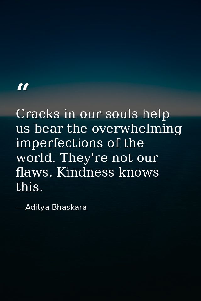 Cracks in our souls help us bear the overwhelming imperfections of the world. They're not our flaws. Kindness knows this — Aditya Bhaskara