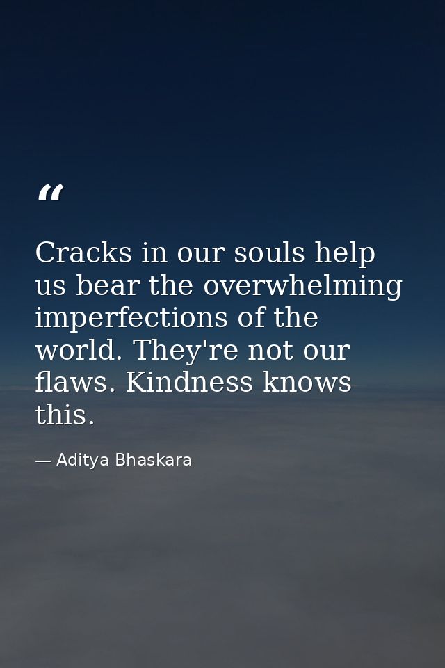 Cracks in our souls help us bear the overwhelming imperfections of the world. They're not our flaws. Kindness knows this — Aditya Bhaskara