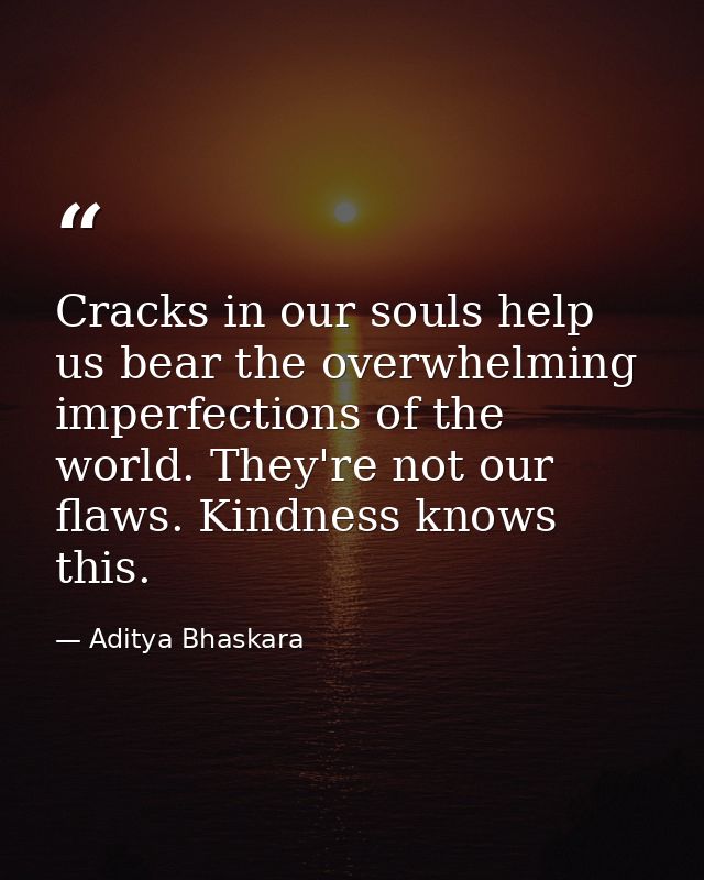 Cracks in our souls help us bear the overwhelming imperfections of the world. They're not our flaws. Kindness knows this — Aditya Bhaskara