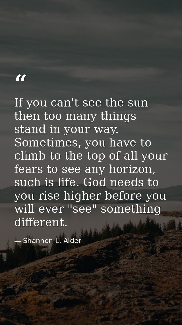 If you can't see the sun then too many things stand in your way. Sometimes, you have to climb to the top of all your fea — Shannon L. Alder