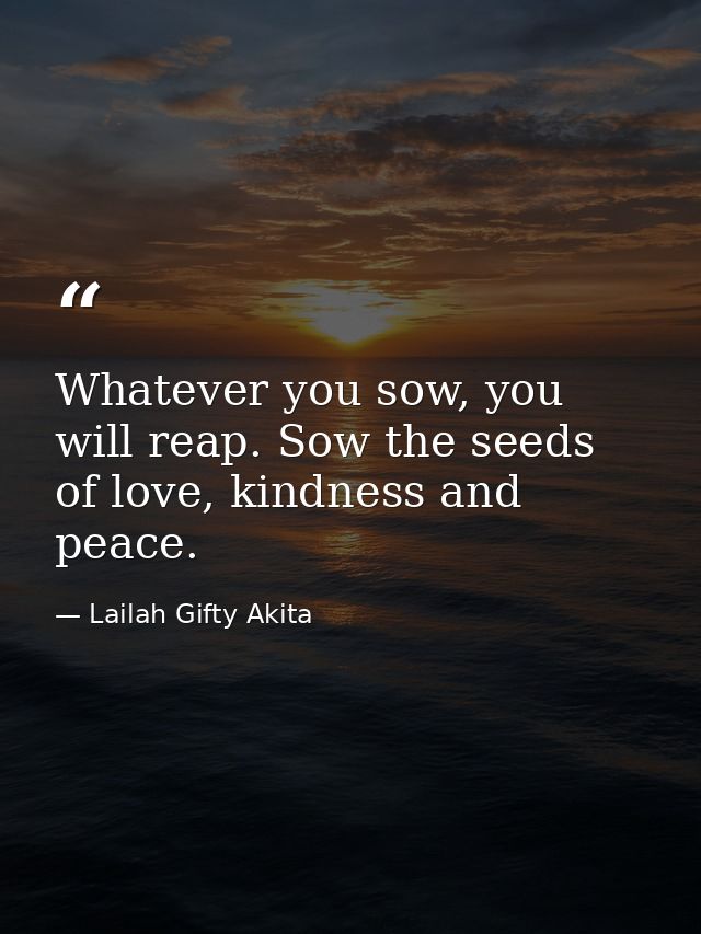 Whatever you sow, you will reap. Sow the seeds of love, kindness and peace. — Lailah Gifty Akita