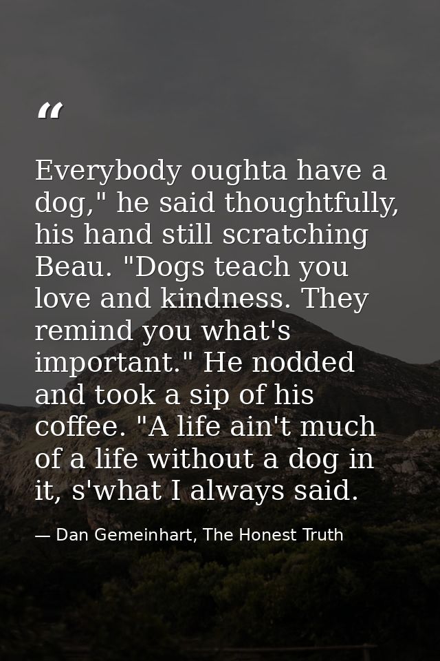 Everybody oughta have a dog," he said thoughtfully, his hand still scratching Beau. "Dogs teach you love and kindness. T — Dan Gemeinhart, The Honest Truth