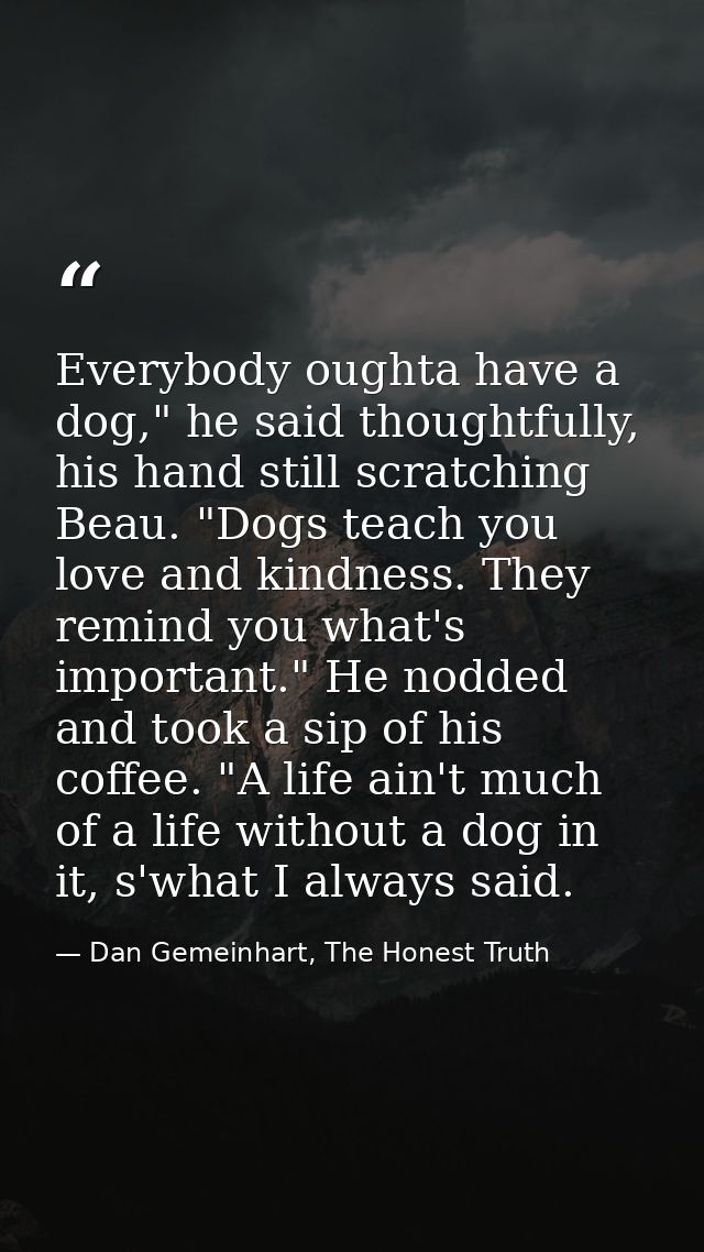 Everybody oughta have a dog," he said thoughtfully, his hand still scratching Beau. "Dogs teach you love and kindness. T — Dan Gemeinhart, The Honest Truth
