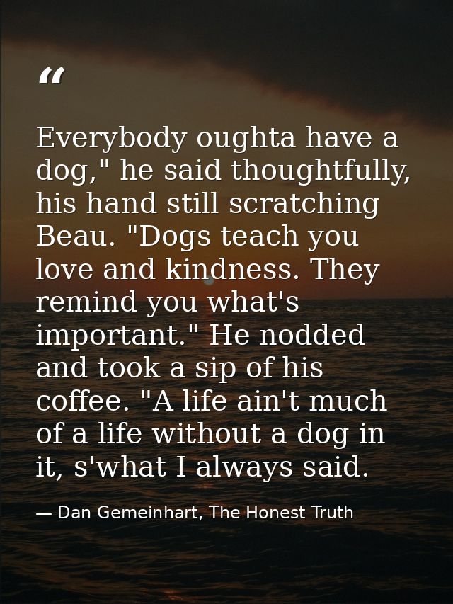 Everybody oughta have a dog," he said thoughtfully, his hand still scratching Beau. "Dogs teach you love and kindness. T — Dan Gemeinhart, The Honest Truth