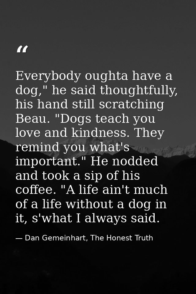 Everybody oughta have a dog," he said thoughtfully, his hand still scratching Beau. "Dogs teach you love and kindness. T — Dan Gemeinhart, The Honest Truth