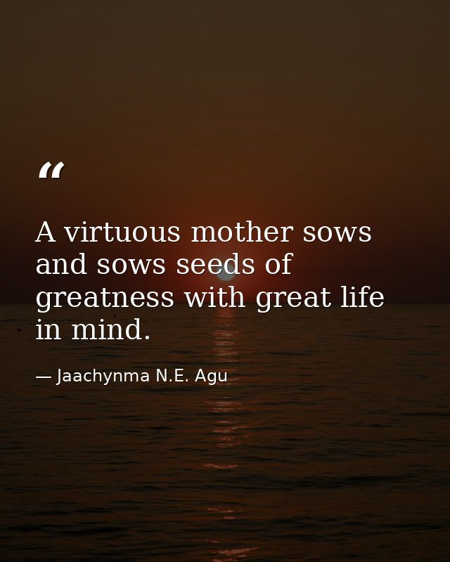 A virtuous mother sows and sows seeds of greatness with great life in mind. — Jaachynma N.E. Agu