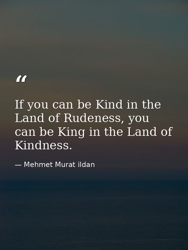 If you can be Kind in the Land of Rudeness, you can be King in the Land of Kindness. — Mehmet Murat ildan