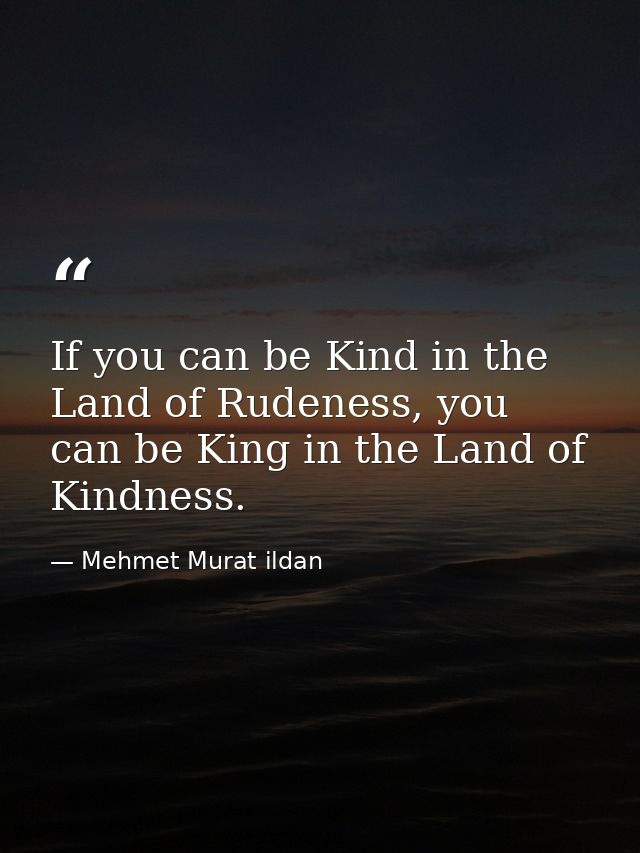 If you can be Kind in the Land of Rudeness, you can be King in the Land of Kindness. — Mehmet Murat ildan