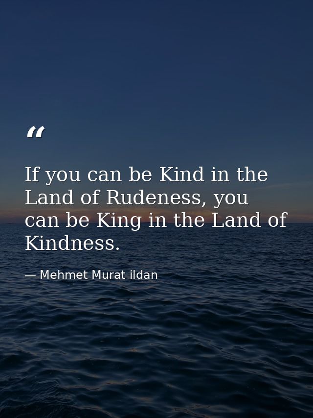 If you can be Kind in the Land of Rudeness, you can be King in the Land of Kindness. — Mehmet Murat ildan