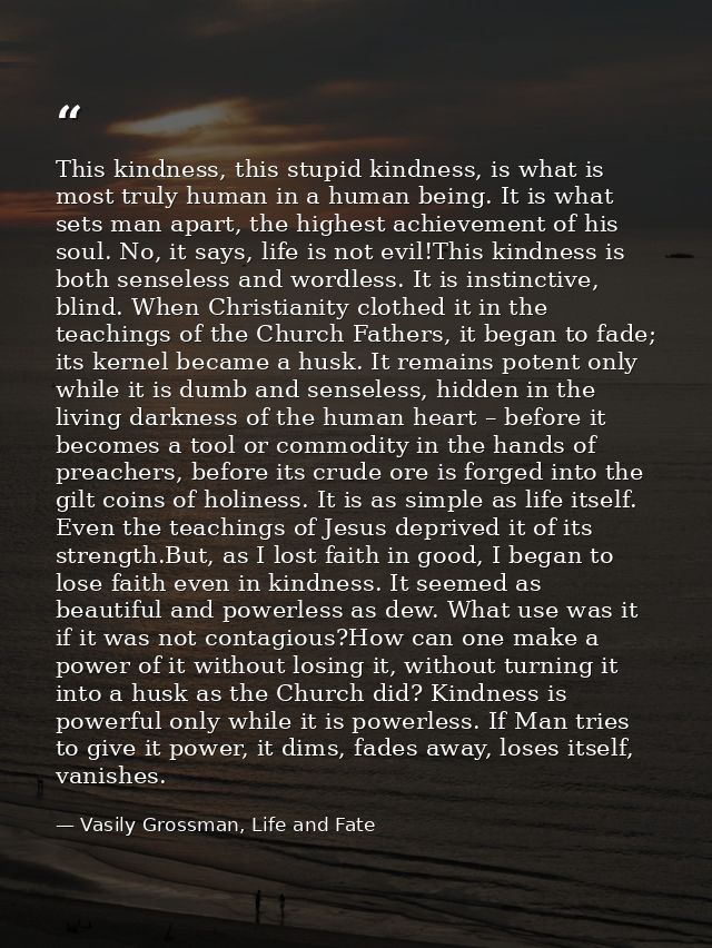 This kindness, this stupid kindness, is what is most truly human in a human being. It is what sets man apart, the highes — Vasily Grossman, Life and Fate