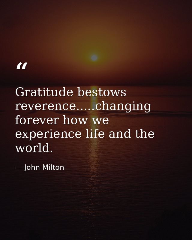 Gratitude bestows reverence.....changing forever how we experience life and the world. — John Milton
