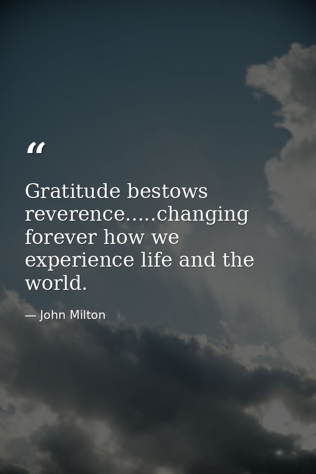 Gratitude bestows reverence.....changing forever how we experience life and the world. — John Milton