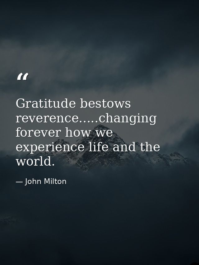 Gratitude bestows reverence.....changing forever how we experience life and the world. — John Milton