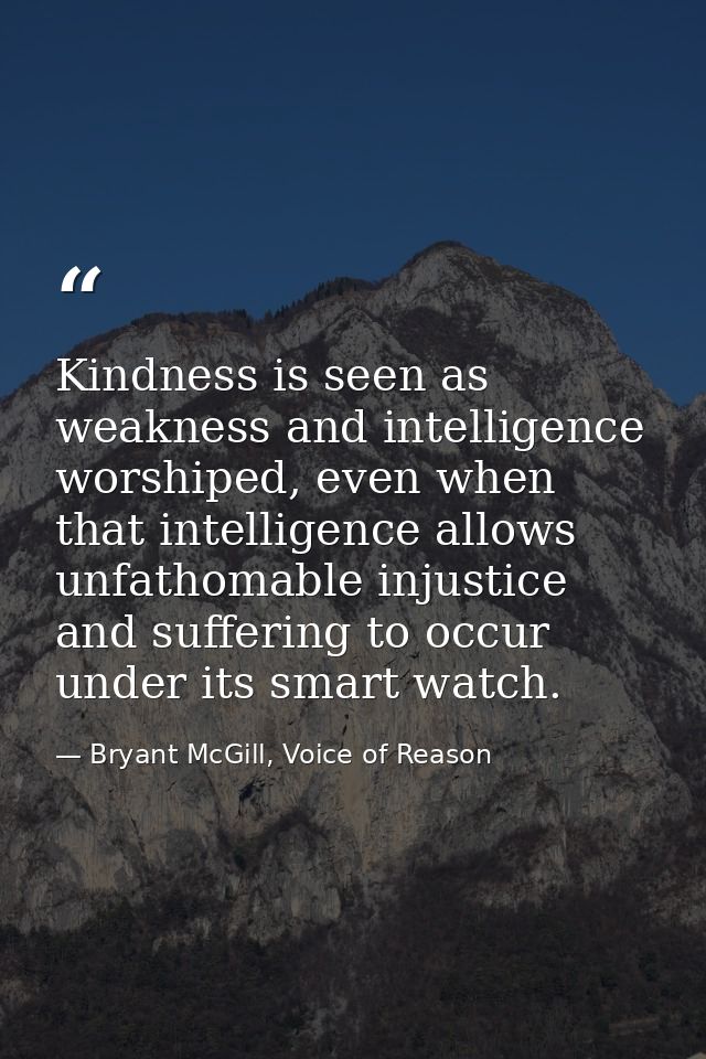 Kindness is seen as weakness and intelligence worshiped, even when that intelligence allows unfathomable injustice and s — Bryant McGill, Voice of Reason