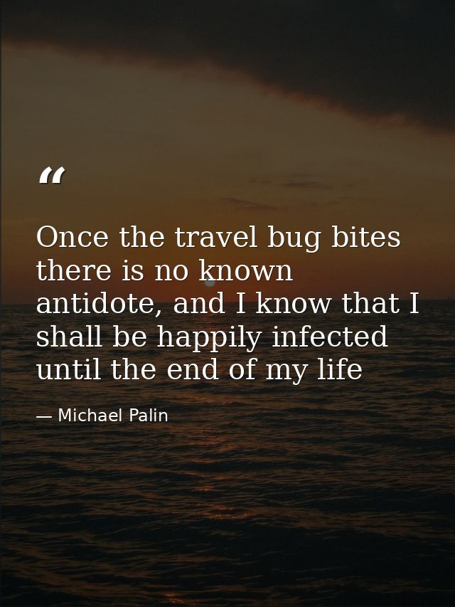 Once the travel bug bites there is no known antidote, and I know that I shall be happily infected until the end of my li — Michael Palin