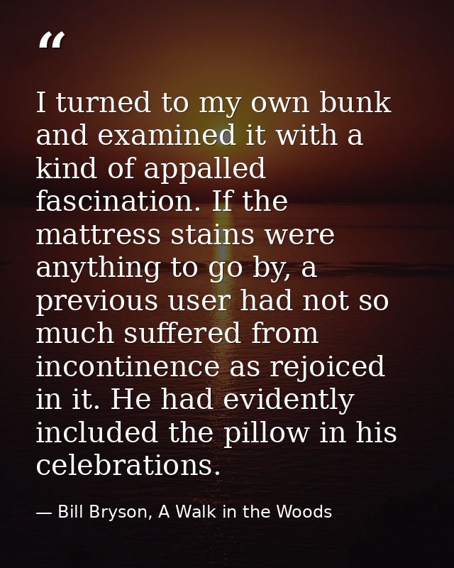 I turned to my own bunk and examined it with a kind of appalled fascination. If the mattress stains were anything to go  — Bill Bryson, A Walk in the Woods