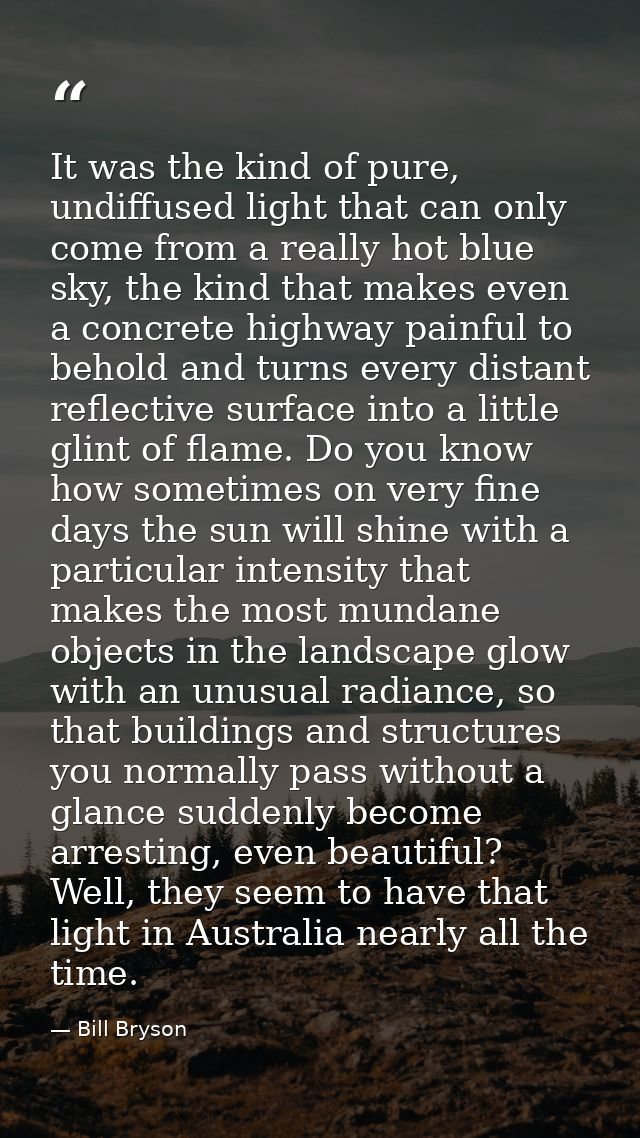 It was the kind of pure, undiffused light that can only come from a really hot blue sky, the kind that makes even a conc — Bill Bryson