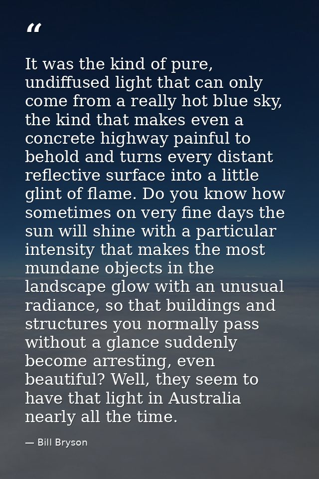 It was the kind of pure, undiffused light that can only come from a really hot blue sky, the kind that makes even a conc — Bill Bryson