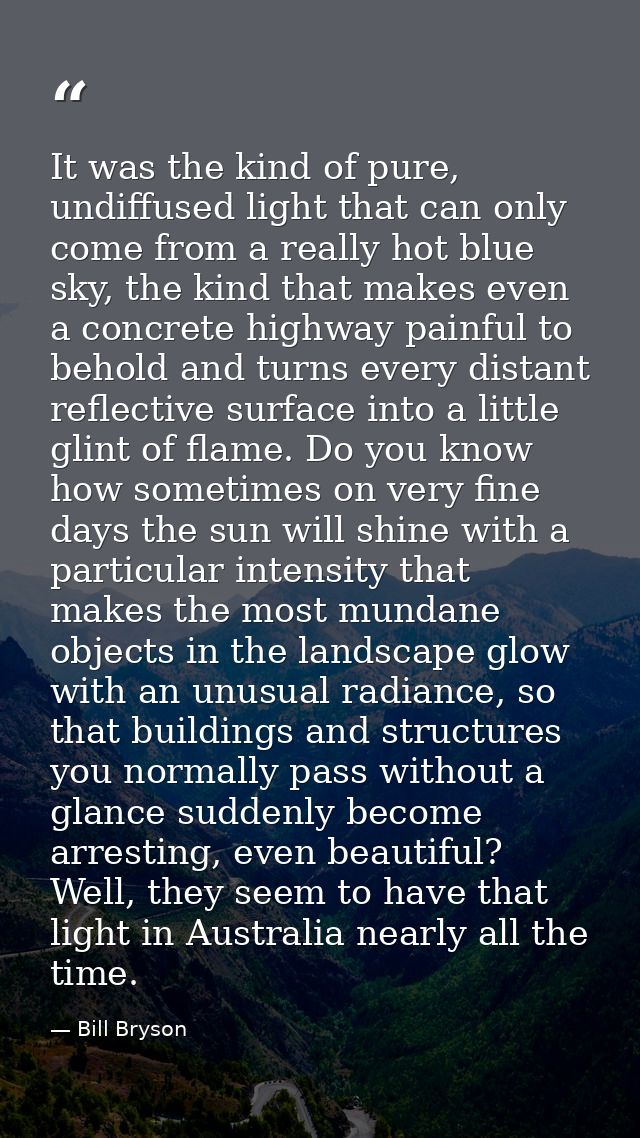 It was the kind of pure, undiffused light that can only come from a really hot blue sky, the kind that makes even a conc — Bill Bryson