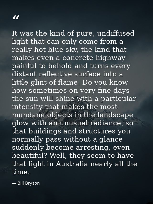 It was the kind of pure, undiffused light that can only come from a really hot blue sky, the kind that makes even a conc — Bill Bryson