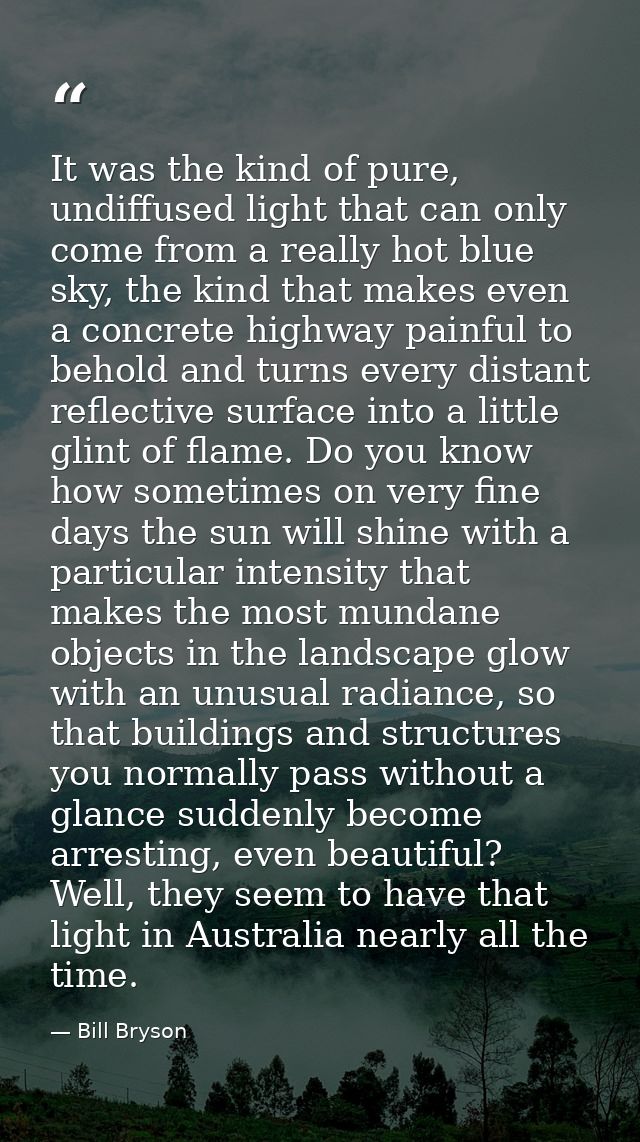 It was the kind of pure, undiffused light that can only come from a really hot blue sky, the kind that makes even a conc — Bill Bryson