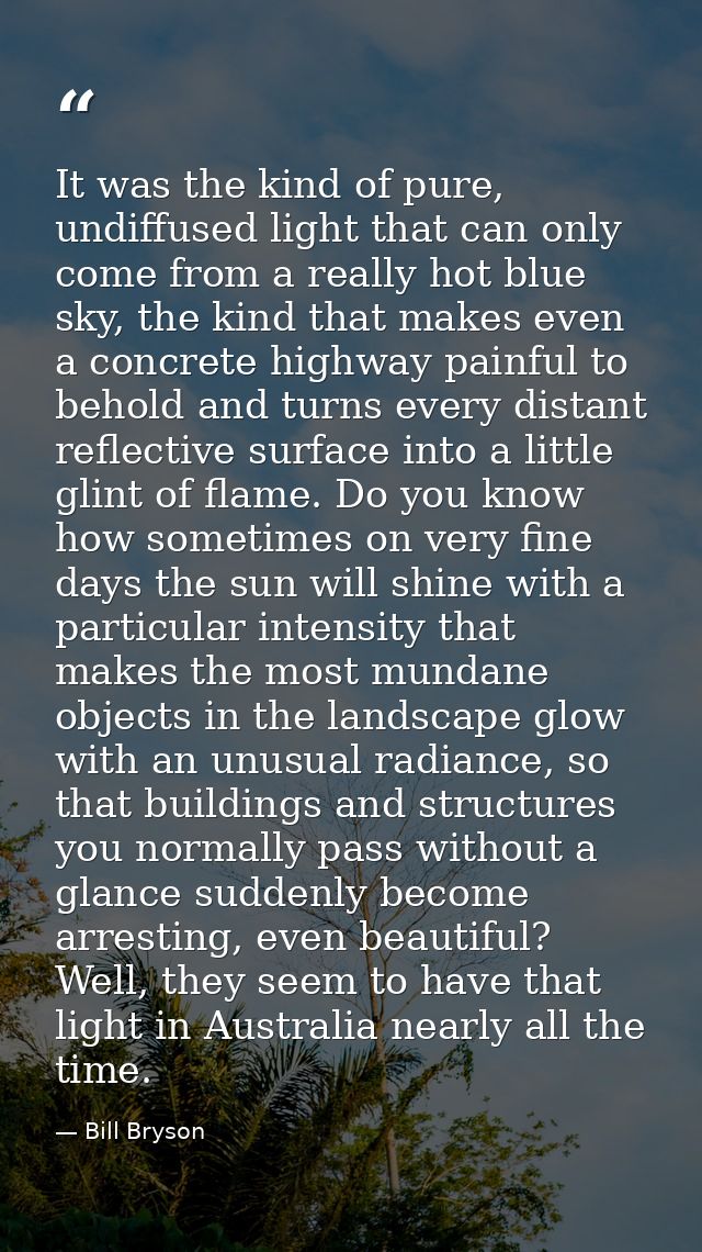 It was the kind of pure, undiffused light that can only come from a really hot blue sky, the kind that makes even a conc — Bill Bryson