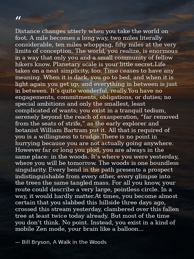 Distance changes utterly when you take the world on foot. A mile becomes a long way, two miles literally considerable, t — Bill Bryson, A Walk in the Woods