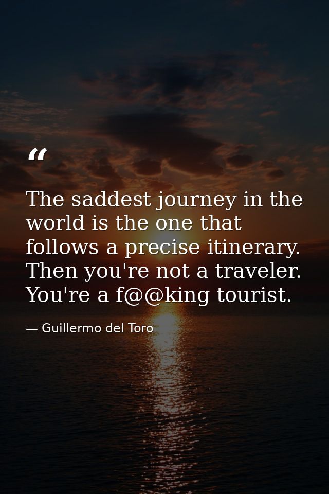 The saddest journey in the world is the one that follows a precise itinerary. Then you're not a traveler. You're a f@@ki — Guillermo del Toro