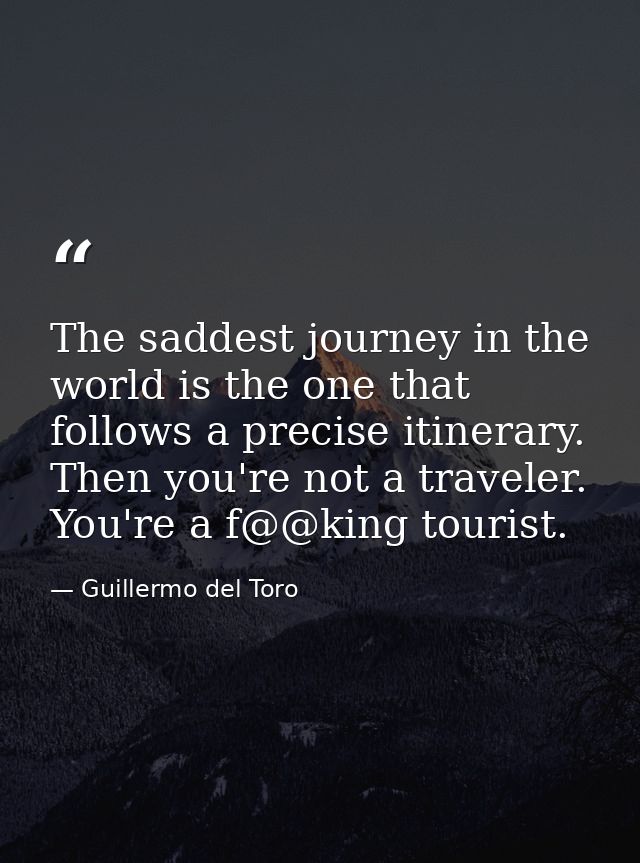 The saddest journey in the world is the one that follows a precise itinerary. Then you're not a traveler. You're a f@@ki — Guillermo del Toro
