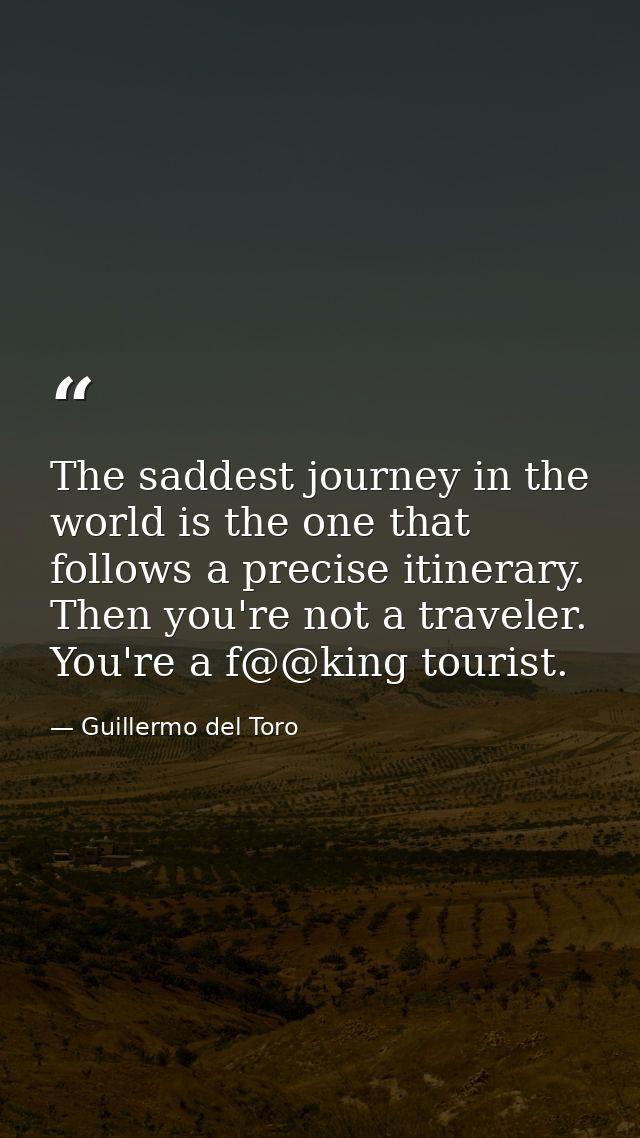 The saddest journey in the world is the one that follows a precise itinerary. Then you're not a traveler. You're a f@@ki — Guillermo del Toro