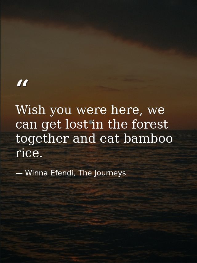 Wish you were here, we can get lost in the forest together and eat bamboo rice. — Winna Efendi, The Journeys